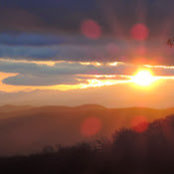 Larissa B's photo