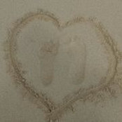Darcy Veneziale's photo