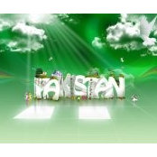Muhammad Rizwan's photo