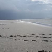 Laurence Lizer Abert's photo