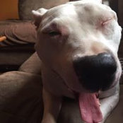 Emily Housley's photo