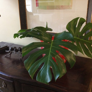 Bild på en mellanstor vintage hall, med beige väggar och heltäckningsmatta