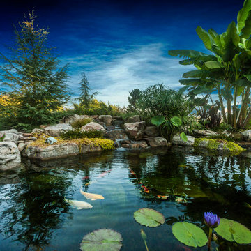 Custom Pond Project in Knoxville Tennessee