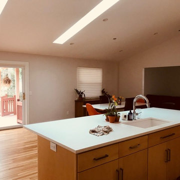 Mid-Century Modern Kitchen