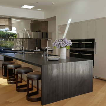 Modern Kitchen in Beverly Hills, CA
