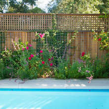 Fencing and Side yard