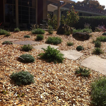 Front Lawn Rebate Project