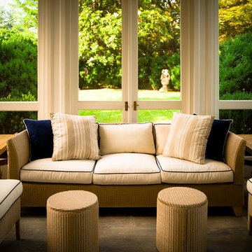 Boxwood