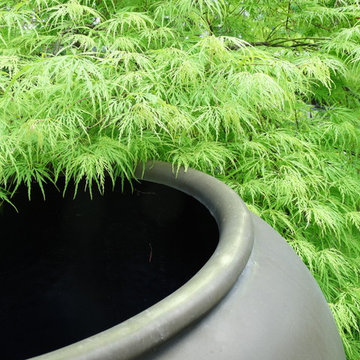 Formal City Garden