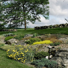 Landscape Ideas