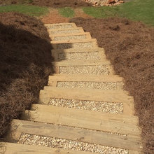 Landscape Ideas
