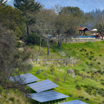 Luxe Outdoor Living in Healdsburg
