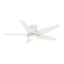 Ceiling Fans