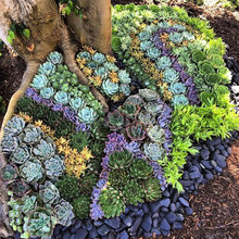 Jardim da fachada