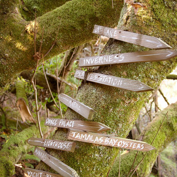 Camp Runamok