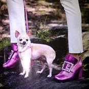 Irina Lefkowitz's photo