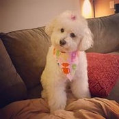 Ginger Po's photo