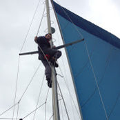 Peter Armstrong's photo
