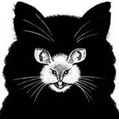 Kenneth Jell's photo