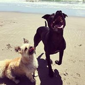 Catherine Ashurst's photo
