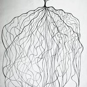 Lorand Bartha's photo