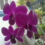 Venus Escano's photo