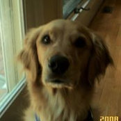 Lisa Doehling's photo