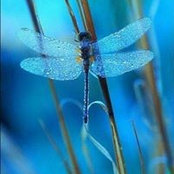 Foto von Kim Weir