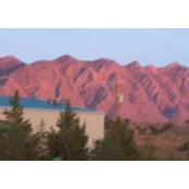 Nora Parton's photo
