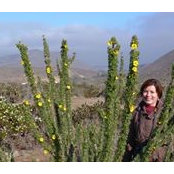 Gabriela Saldías's photo