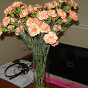 Miriam Flores's photo