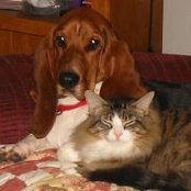 Tonya Howard's photo