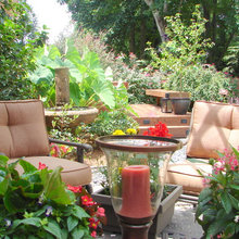 Landscape Ideas
