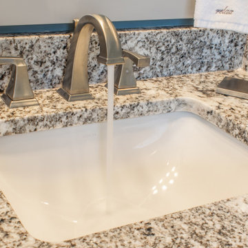 Chapin Master Remodel