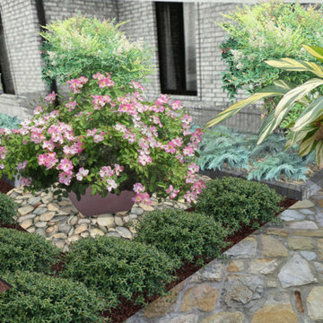 Foundation Plantings