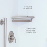 Lifestyle and Wellness Corner Shower Shelf With 14" Handle, Polished Stainless