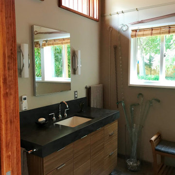 Ann Arbor Master Bath Addition: Water Hill