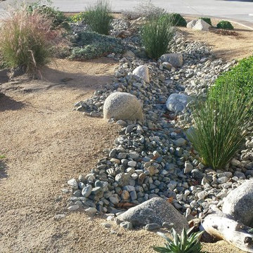 Water Conserving Landscape Project