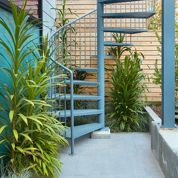 Urban Garden
