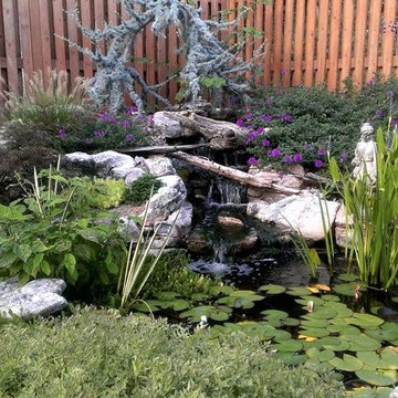 Ecosystem pond