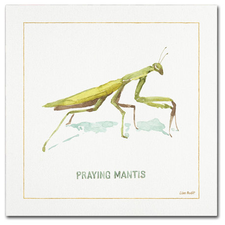 Lisa Audit 'My Greenhouse Praying Mantis' Canvas Art, 35"x35"