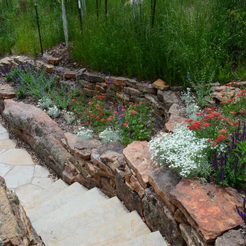 Design - Build Mountain Home Landscape in Eagles Nest