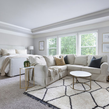 Modern Farmhouse Living Room and Bedroom