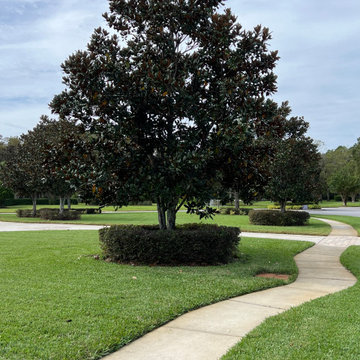 New Project Photos