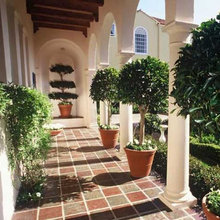 backyard/garden