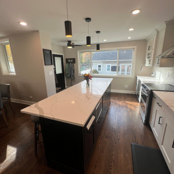 Chicago Kitchen/Dining Renovation