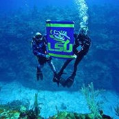 Lisa Aucoin Johnson's photo