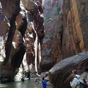 Annette Ashton's photo