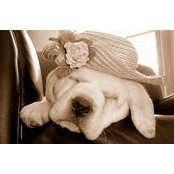Foto de Gretta Smail Barron
