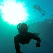Thomas Kellerman's photo